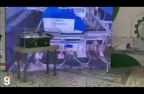 �������� ������ �������� �. ���� ����������� � ������ ����-�������